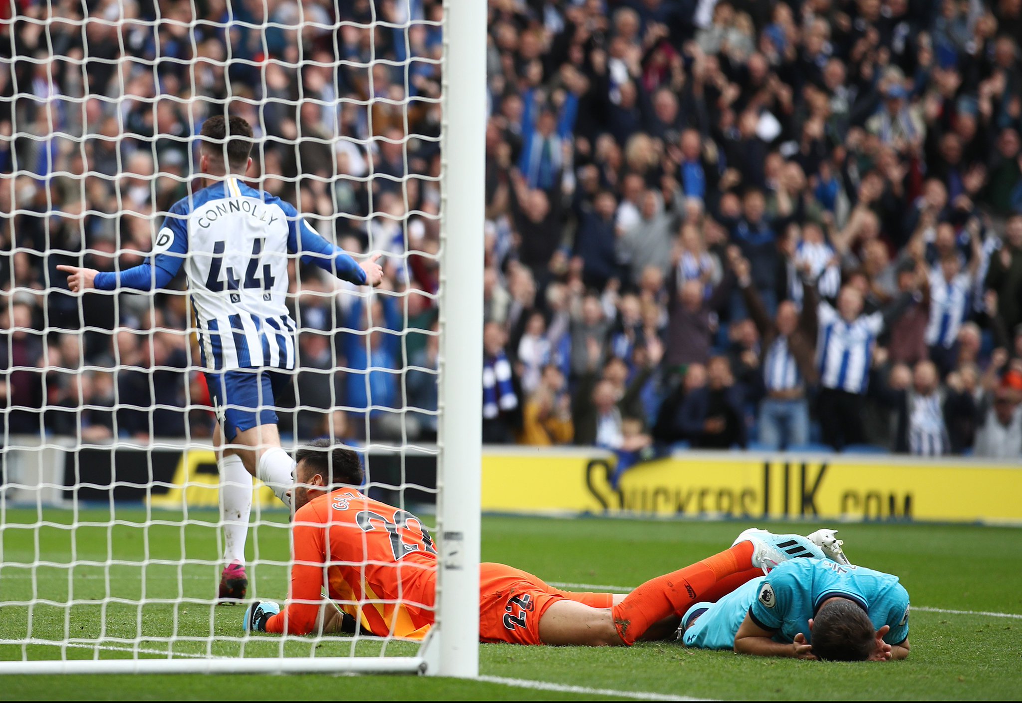 他无疑是理 他无疑是理